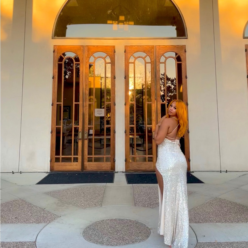 Champagne Cinderella Dress